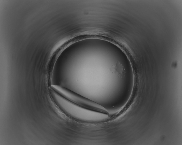 X0000093461114200710191118