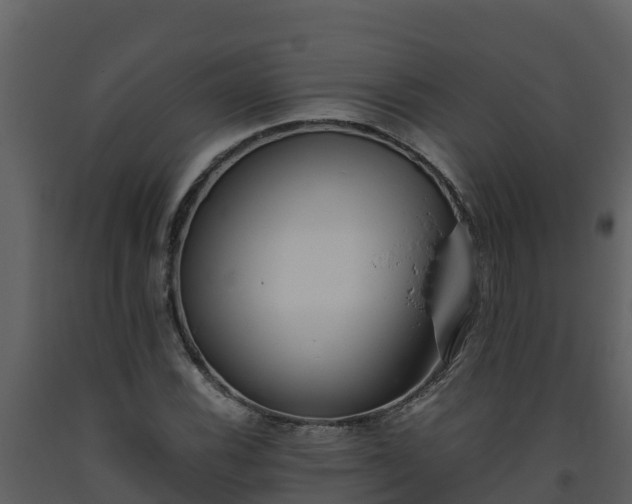 X0000093461116200710191118