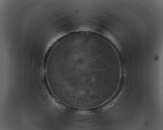 X0000093461117200710191118