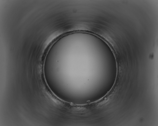 X0000093461119200710191118