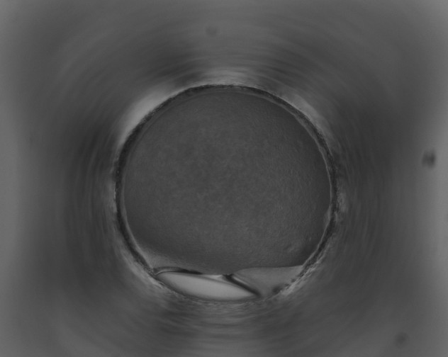 X0000093461120200710191118