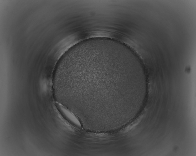 X0000093461121200710191118