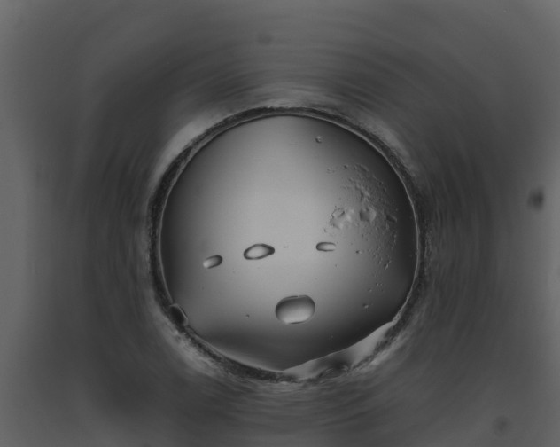 X0000093461122200710191118