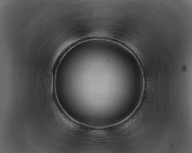 X0000093461123200710191118