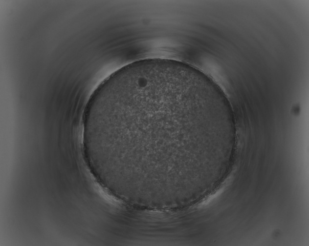 X0000093461125200710191118