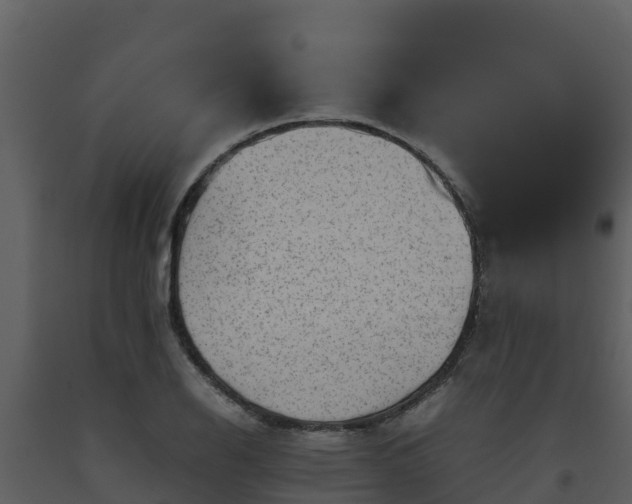 X0000093461126200710191118