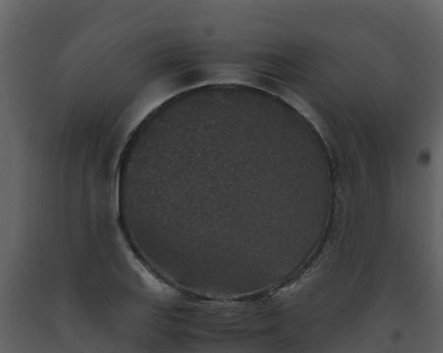 X0000093461127200710191118