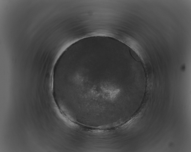 X0000093461132200710191118