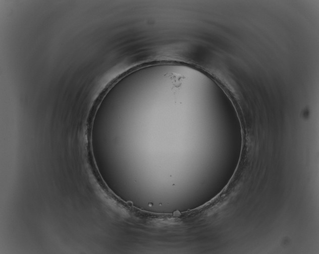 X0000093461133200710191118