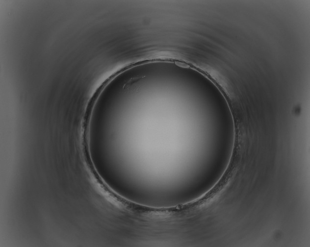 X0000093461134200710191118