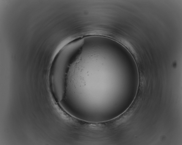 X0000093461138200710191118