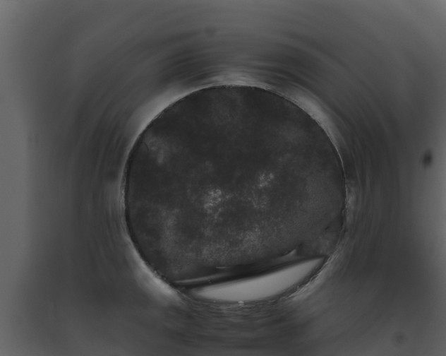 X0000093461141200710191118