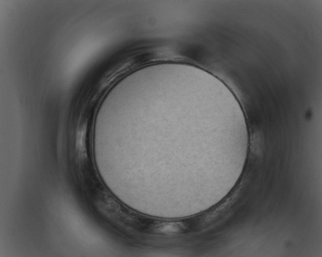 X0000093461150200710191118