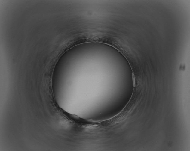 X0000093461153200710191118