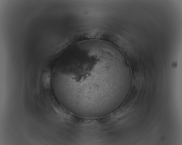 X0000093461154200710191118