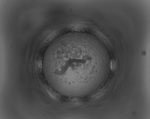 X0000093461155200710191118