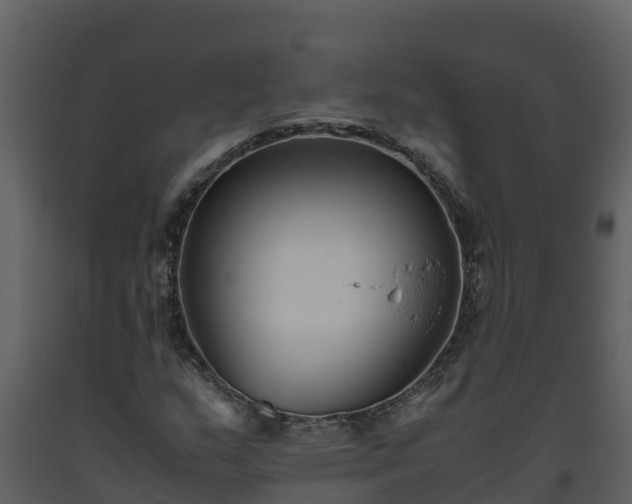 X0000093461159200710191118