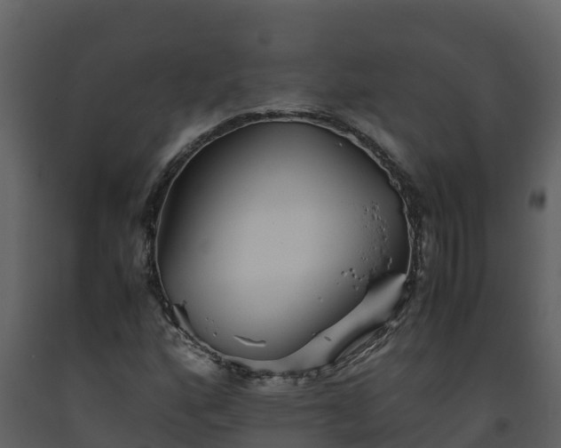 X0000093461160200710191118