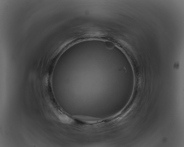 X0000093461161200710191118