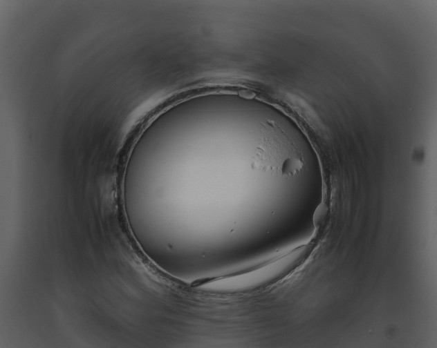 X0000093461164200710191118