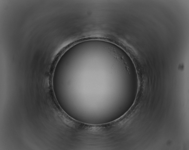 X0000093461166200710191118