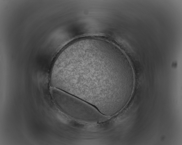 X0000093461169200710191118