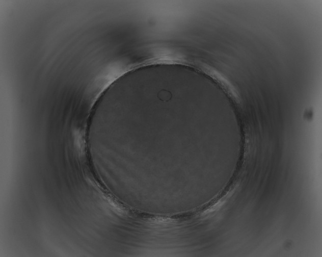 X0000093461170200710191118