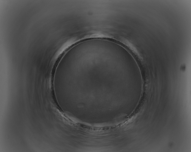 X0000093461173200710191118