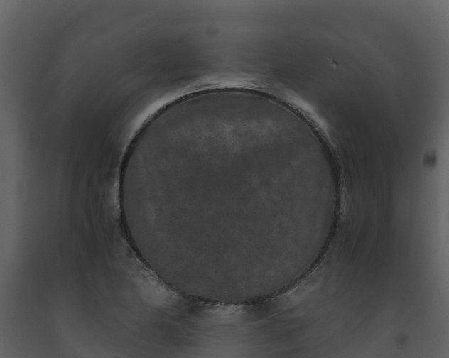 X0000093461174200710191118