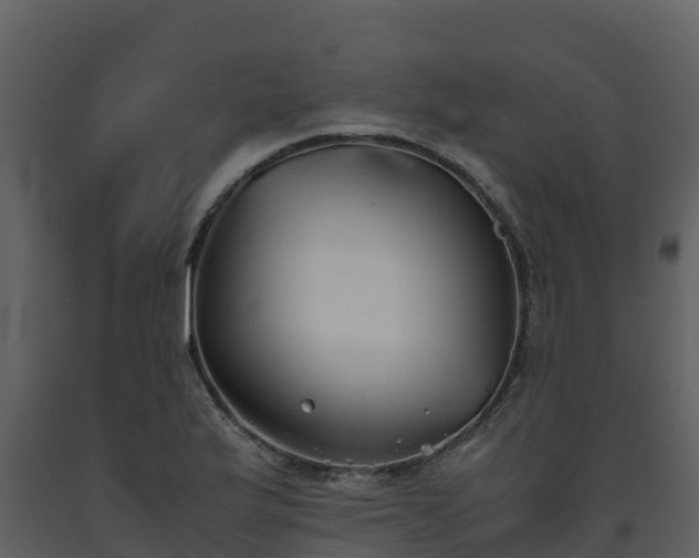 X0000093461175200710191118