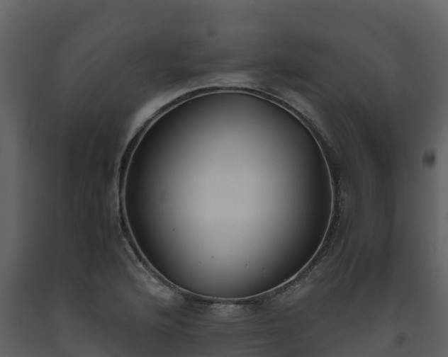 X0000093461176200710191118