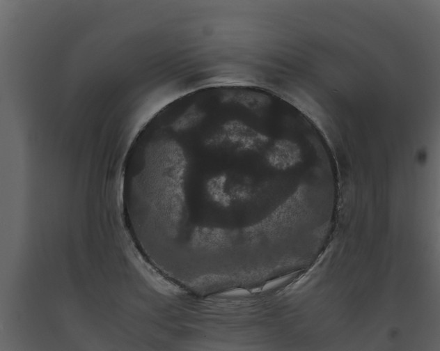 X0000093461179200710191117