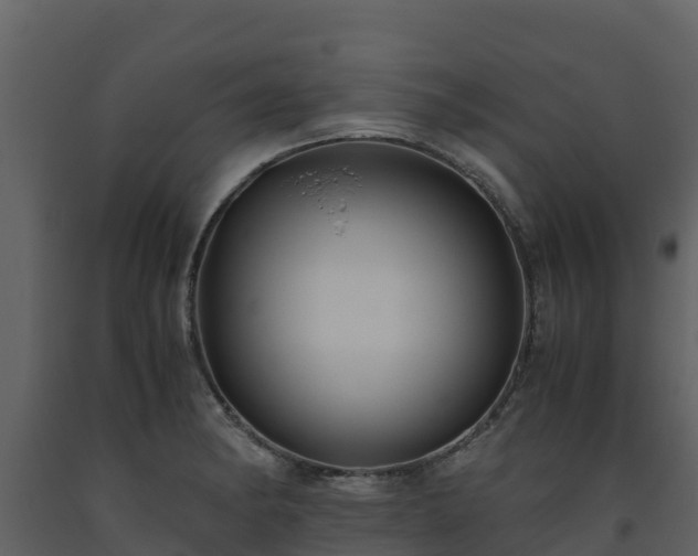 X0000093461182200710191117