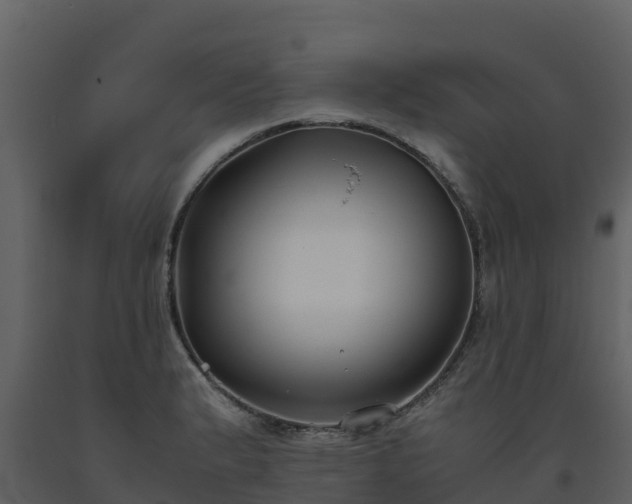 X0000093461183200710191117