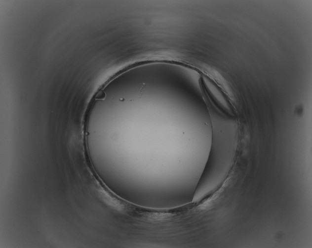 X0000093461184200710191117