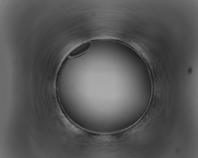 X0000093461189200710191117