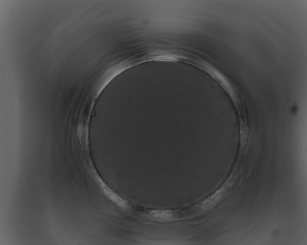 X0000093461194200710191117