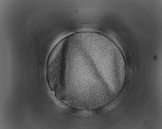 X0000093461195200710191117