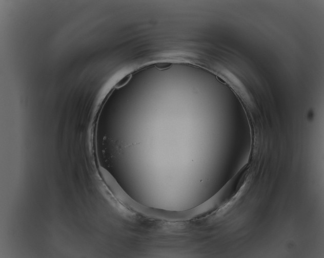 X0000093461196200710191117