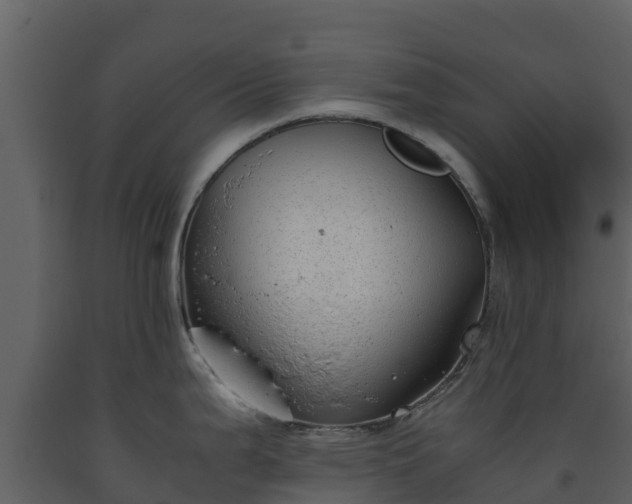 X0000093461199200710191117