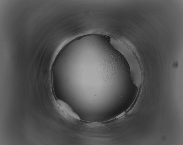 X0000093461200200710191117