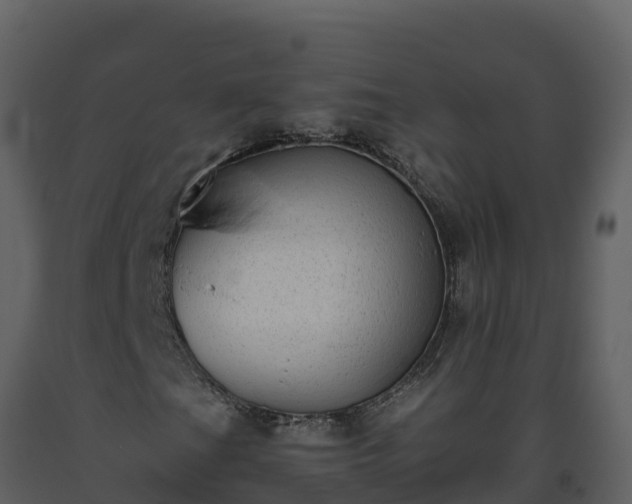 X0000093461201200710191117