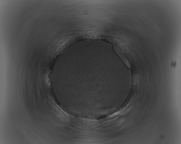 X0000093461202200710191117