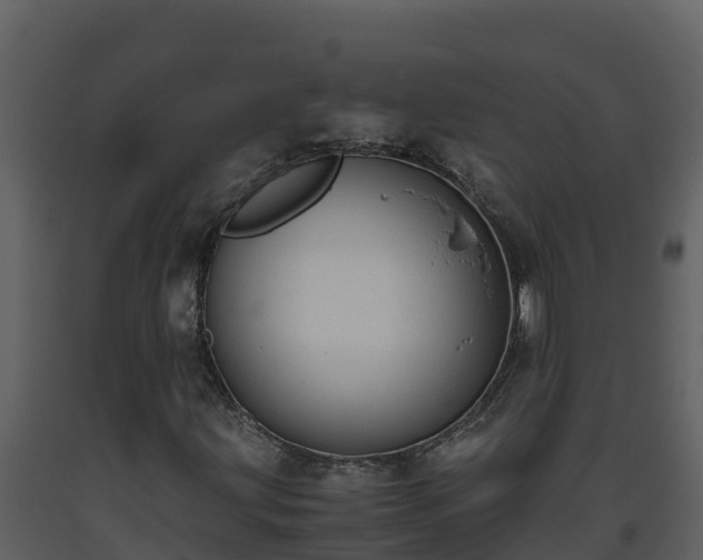 X0000093461203200710191117