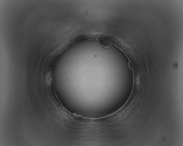 X0000093461204200710191117