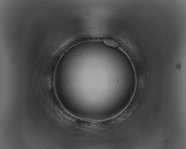 X0000093461205200710191117