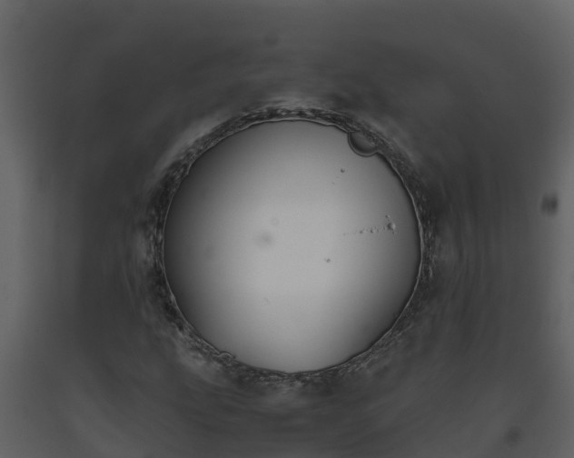 X0000093461207200710191117