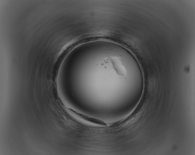 X0000093461210200710191117