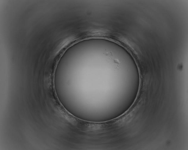 X0000093461211200710191117