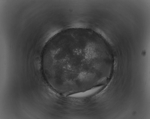 X0000093461213200710191117